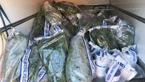 182 cannabis plants found in Downer