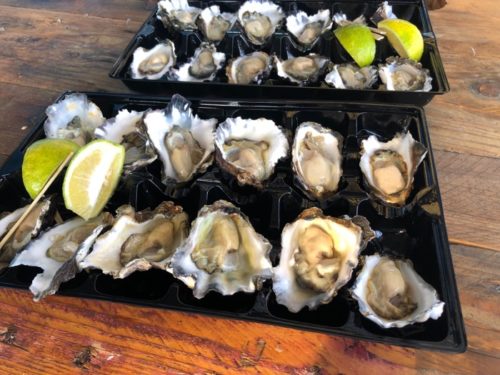 Shed opens up some of the best oysters
