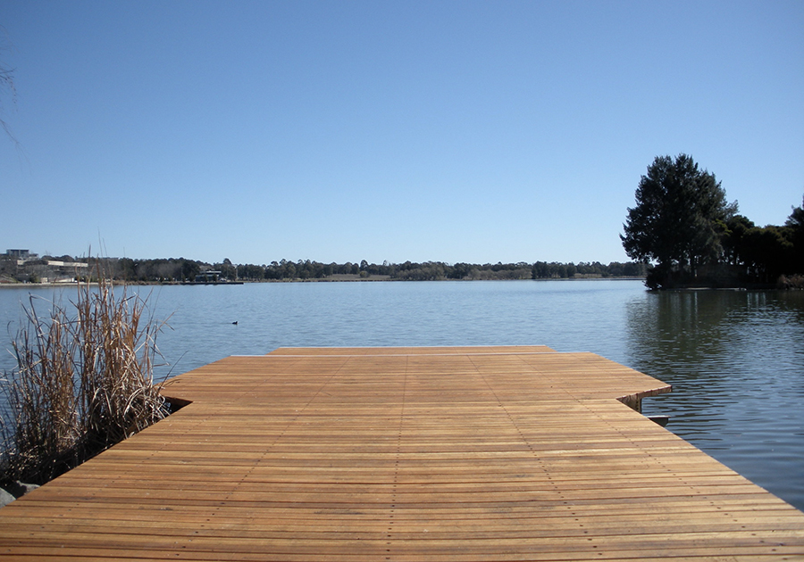 Lake Ginninderra gets 25,000 new fish - Vimarsana News