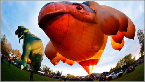 Skywhale soars above NSW to end national tour