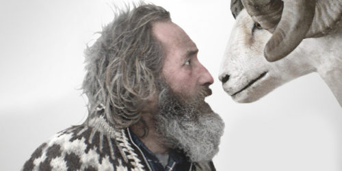 Movie review / ‘Rams’ (PG)