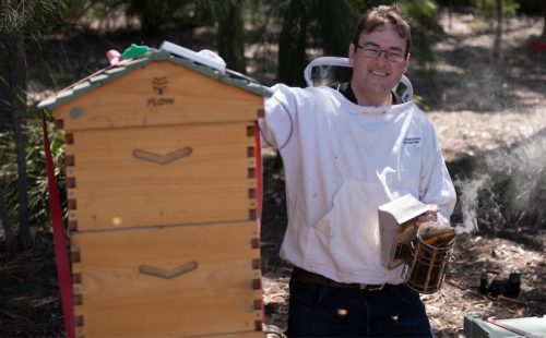 For Parliament House bees, the hives have it