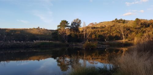 New nature reserve opens in Molonglo