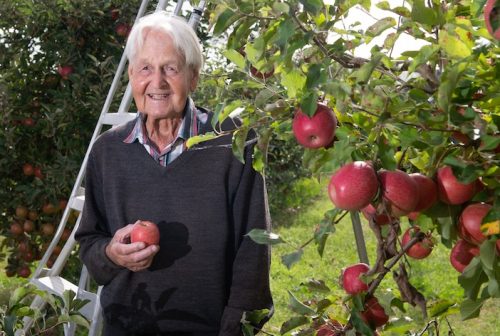 He’ll be apples: the habit of a lifetime for Bert, 99