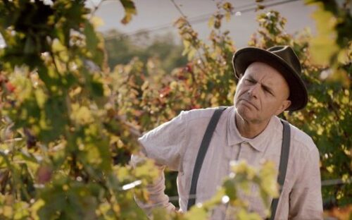 Movie review / ‘From the Vine’ (M)