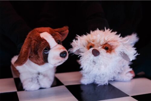 Puppy puppet show made in Japan
