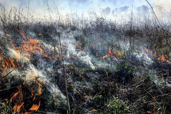 Expect smoke from prescribed burns across Canberra