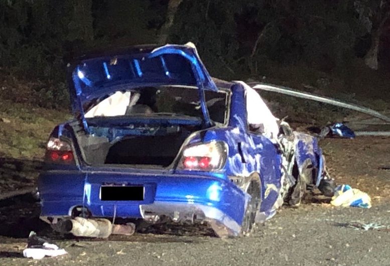 Photo: Passenger survives as car smashes into tree