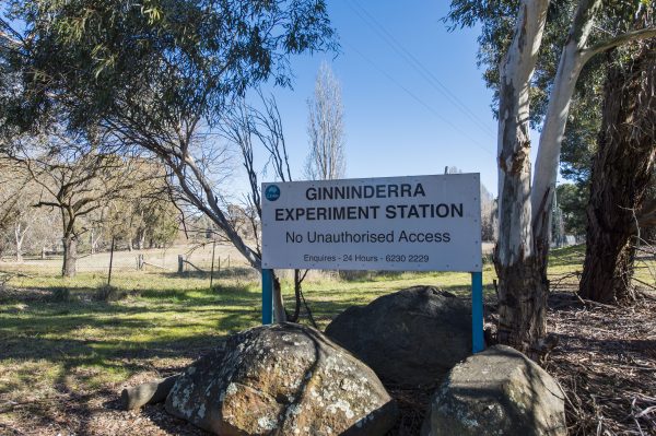 Libs call to keep CSIRO land release on table