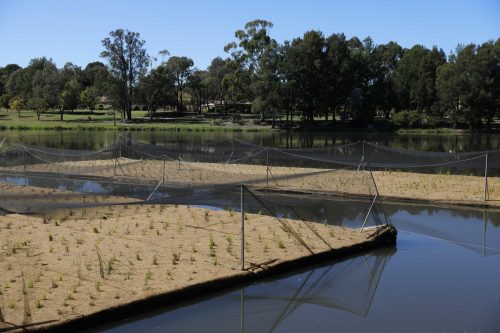 Lake Tuggeranong at lowest water-health to date, says report