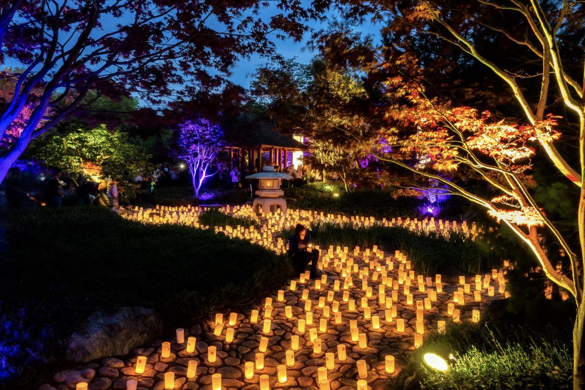 Nara Candle Festival celebrates anniversary