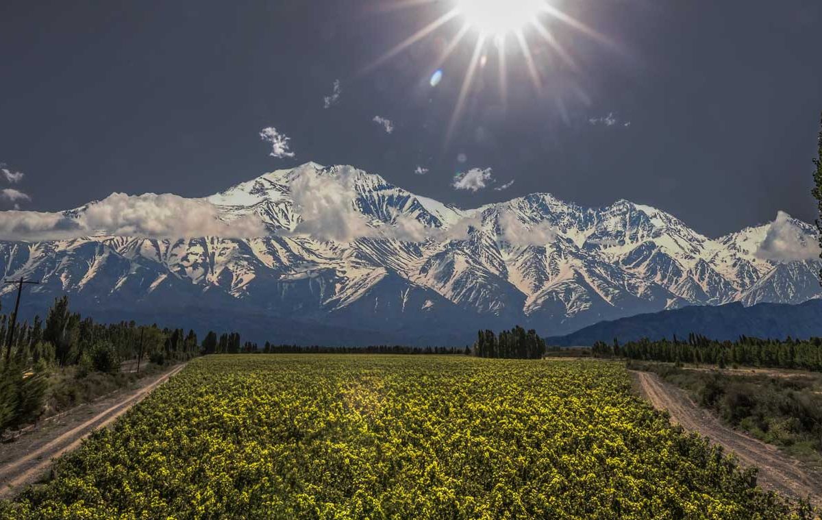 Malbec and steak are made for each other