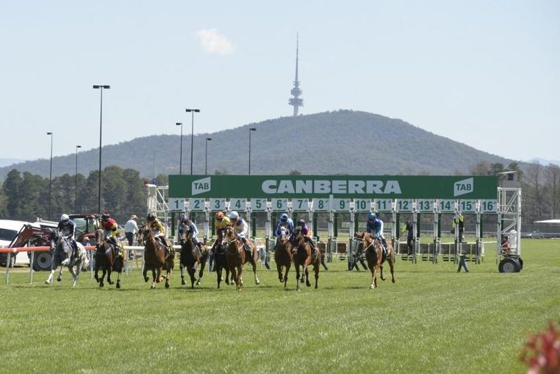 Horse racing to be scrapped, says Parton