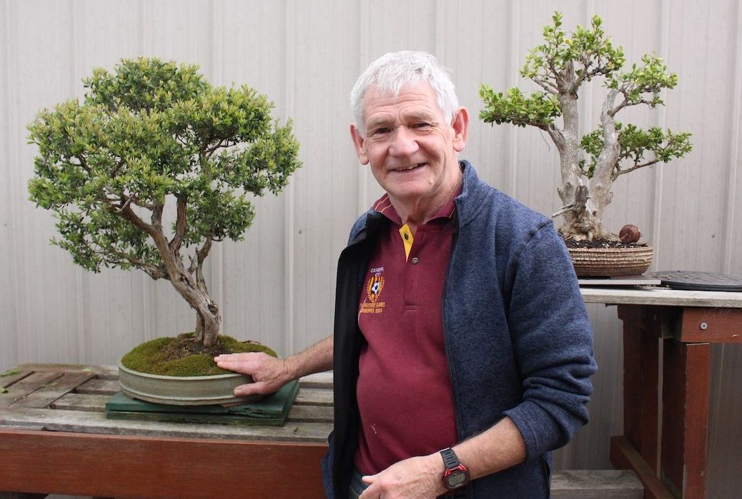 Fair dinkum passion for growing Aussie bonsai 