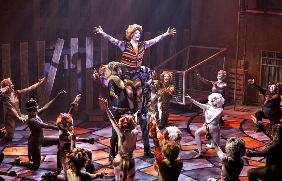 ‘Cats’: if this reads like a rave review, it’s meant to!