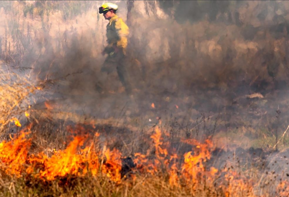 Five-hectare grass fire burning to the south