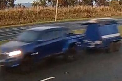 Police look for driver of blue ute after collision
