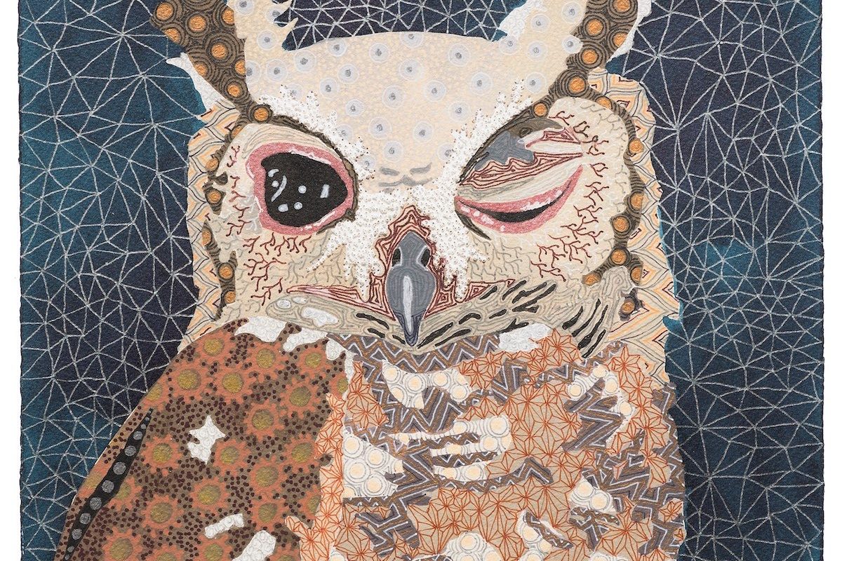 What a hoot –  a gallery full of owls