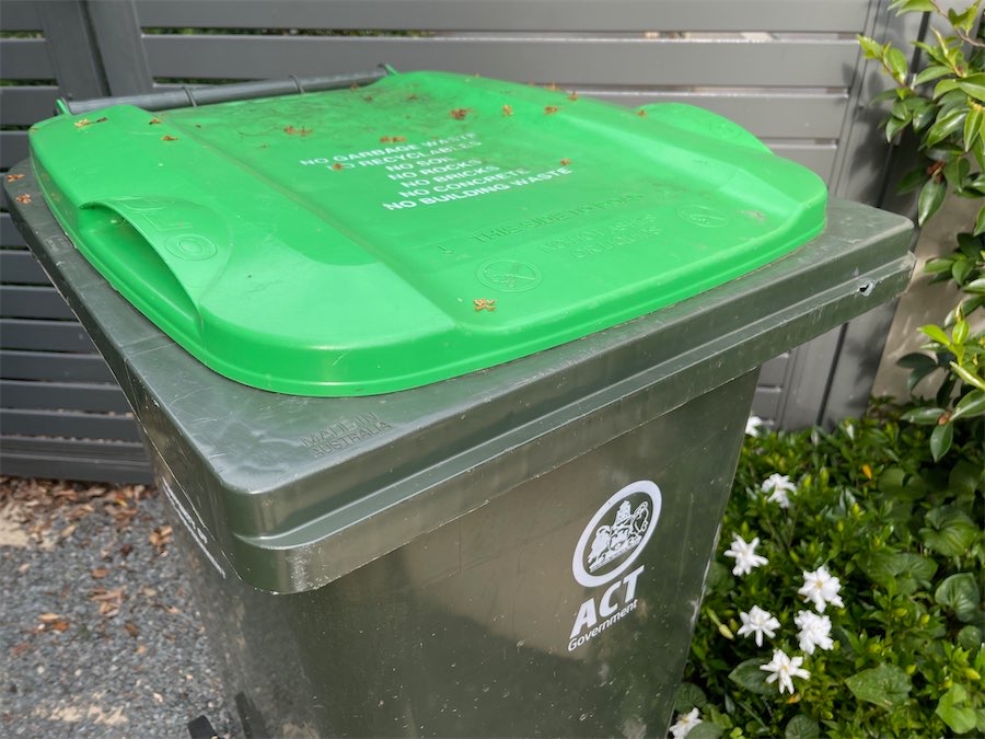 Extra green waste collections for poststorm suburbs Canberra CityNews