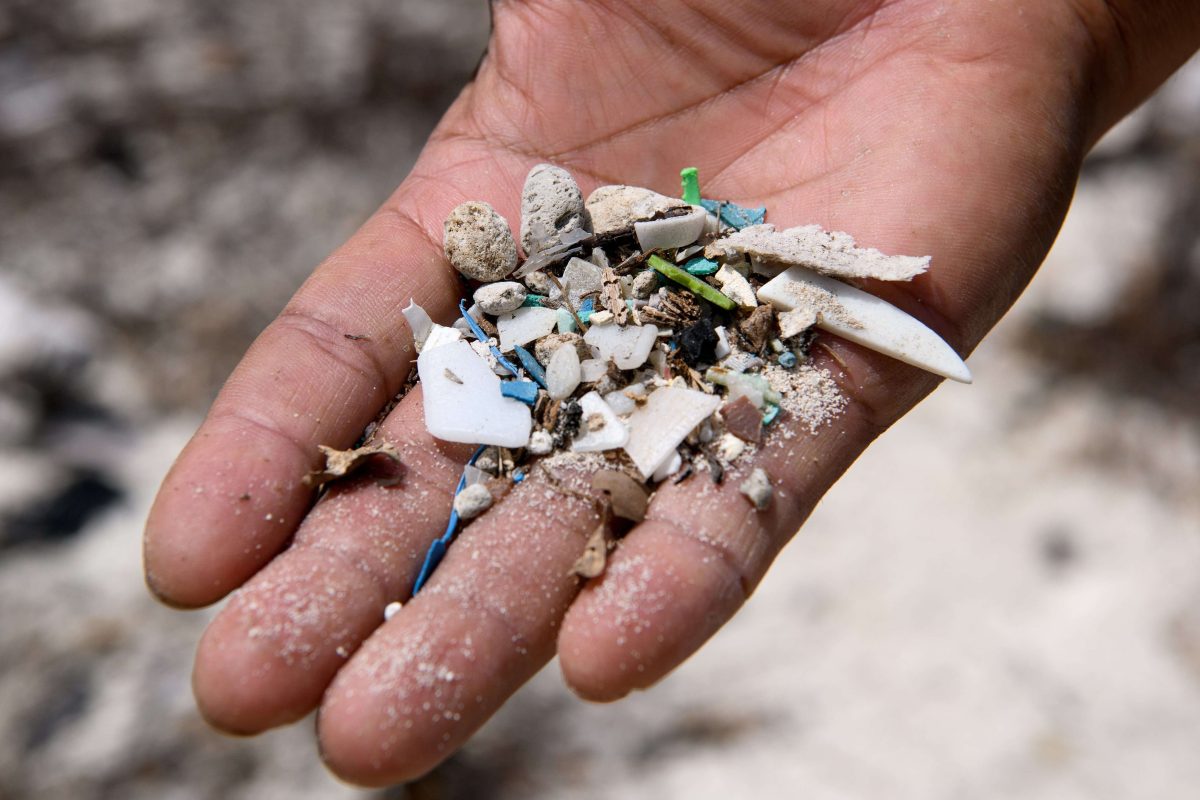 Plastic makes up majority of Aussie marine litter