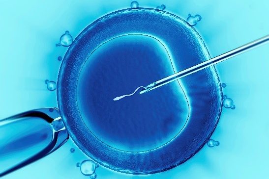Canberra Liberals promise IVF rebates