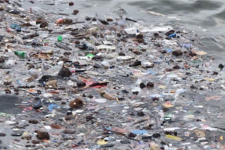 Ocean floor littered with plastic pollution: CSIRO