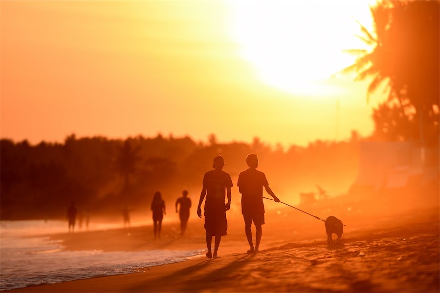 Scientists sweat on warning system for lethal heatwaves