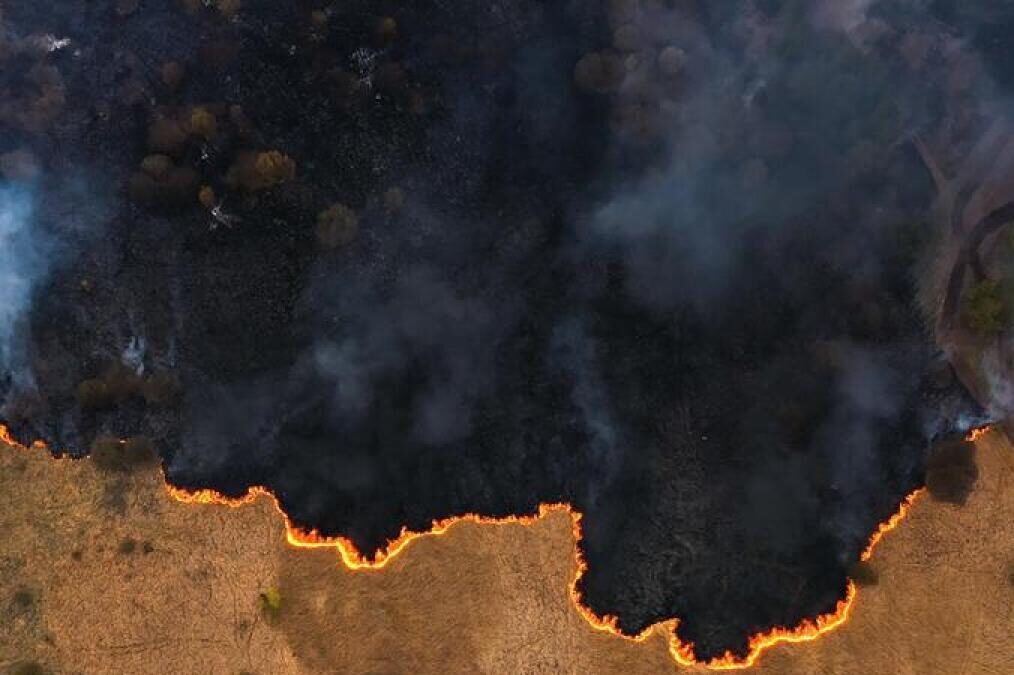 AI-powered satellites to search for bushfires