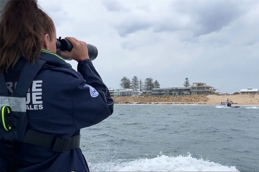 Family distraught amid search for boy swept to sea