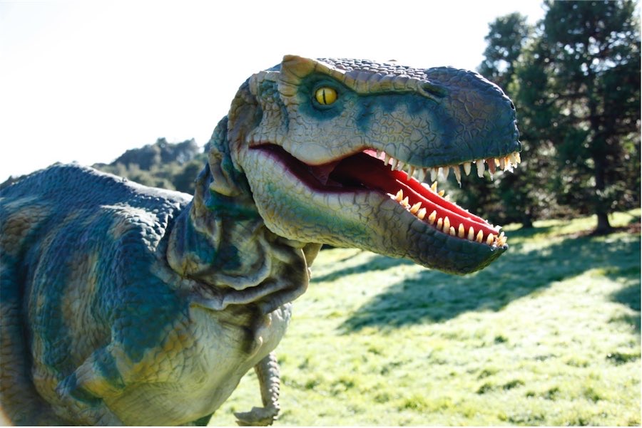 Get ready for the 'roarsome' awesome dinosaur experience