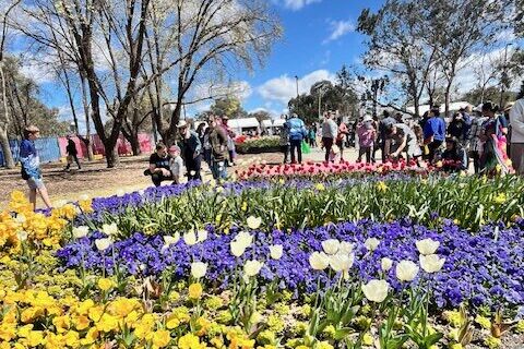 Floriade sets a financially blooming record