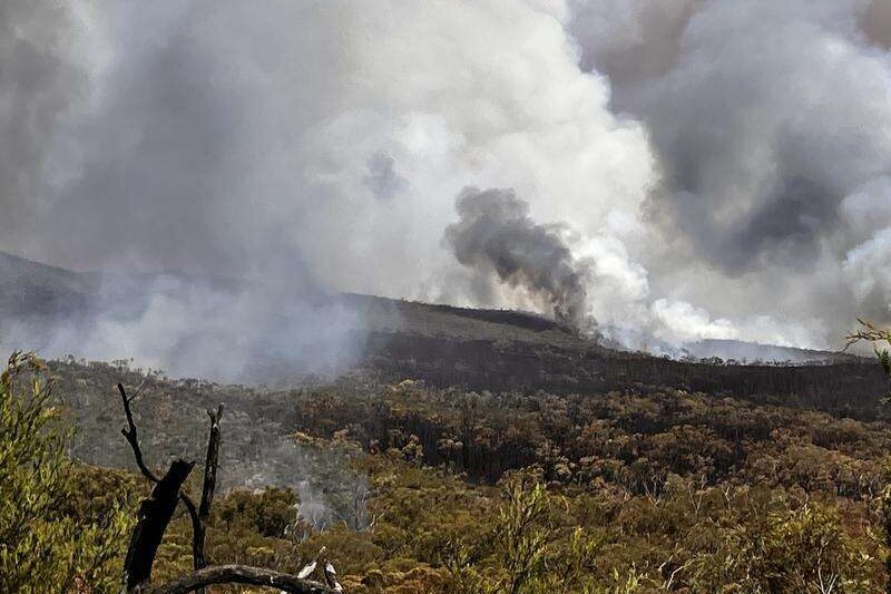 ‘Too late to leave’: Tourist warning as bushfire burns