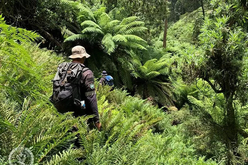 Agencies to update on 12-day search for missing hiker