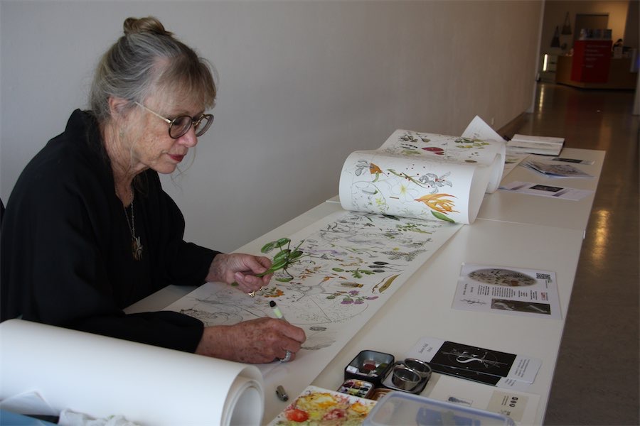 Botanical artist pledges 3000 days of drawings | Canberra CityNews