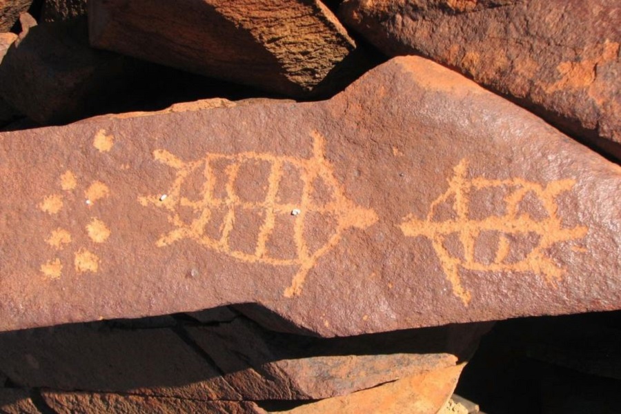 Ancient rock art under siege