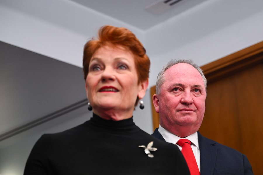 Hanson gets ’10/10′ for indigenous apology from own MP