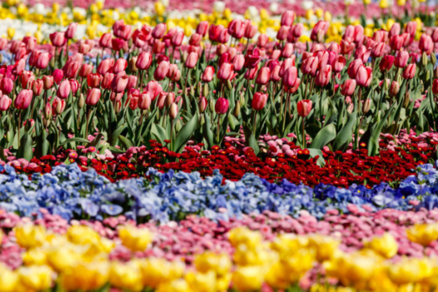 Floriade springs to life tomorrow