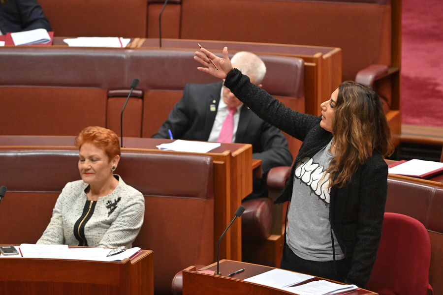 ‘Most primitive’: Hanson blasted for indigenous slur