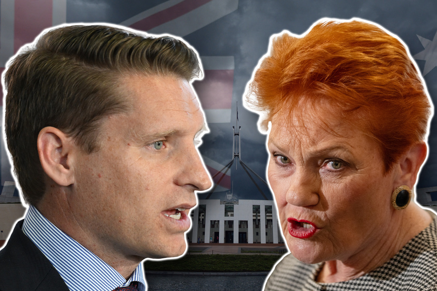 'Traitor' slurs – how dare you, Pauline Hanson!