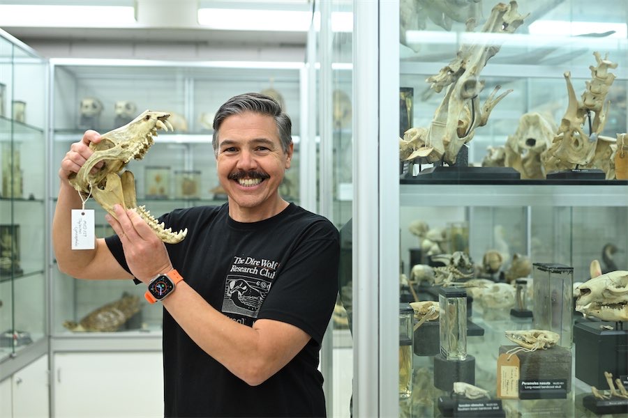 Science on verge of catching a tiger by the gene trail