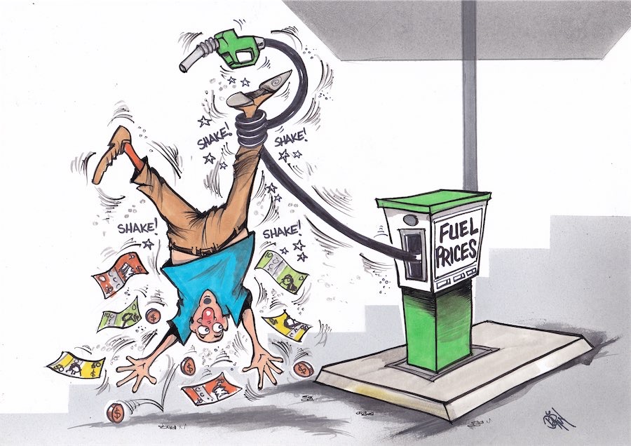 Cartoon / Dose of Dorin