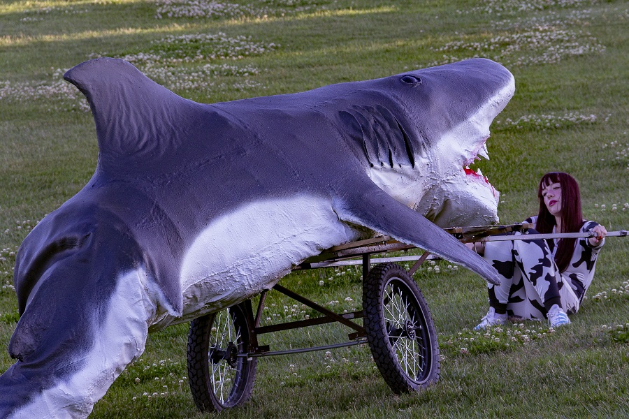 Canberra artist’s shark adventure makes waves