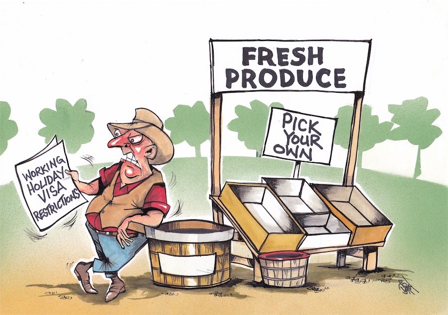 Cartoon / Dose of Dorin