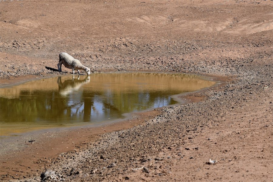 Warning El Nino could wipe $13b from Australian economy
