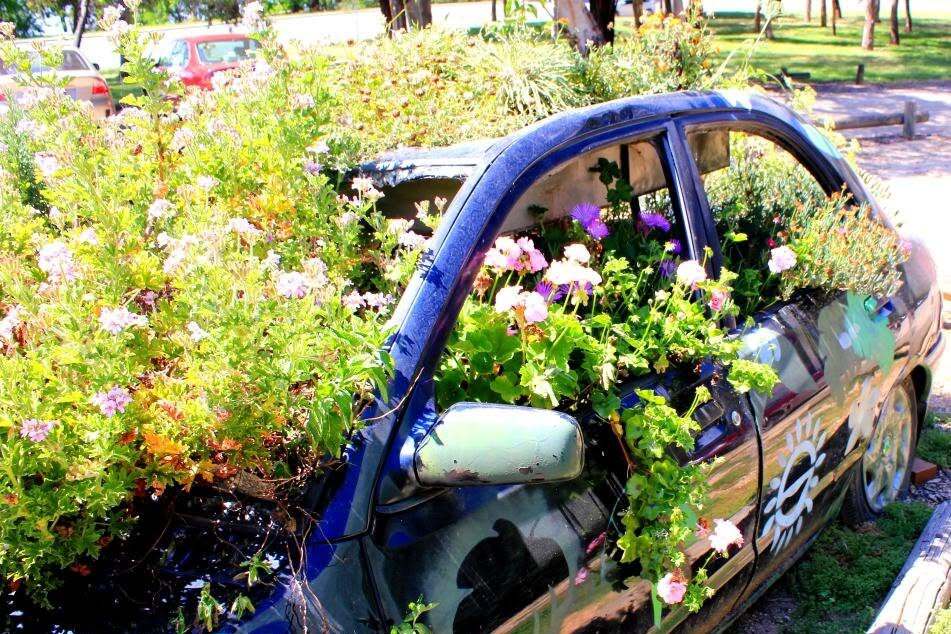 Five community gardens win ACT funding