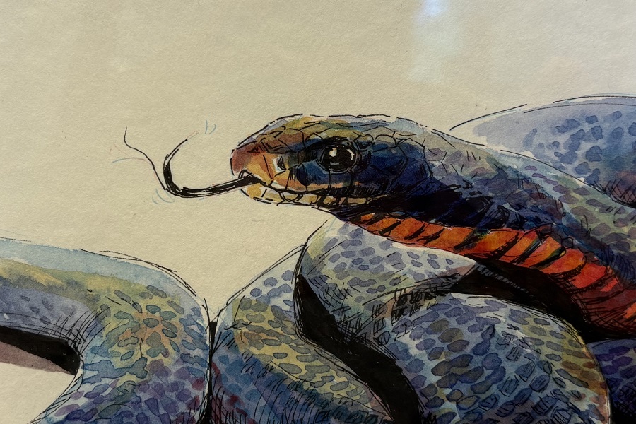 NatureArt Lab puts the planet in the picture